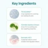 MADECA ACNIENCE PORE PACK CLEANSER