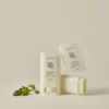 BEAUTY OF JOSEON MATTE SUN STICK: MUGWORT + CAMELIA